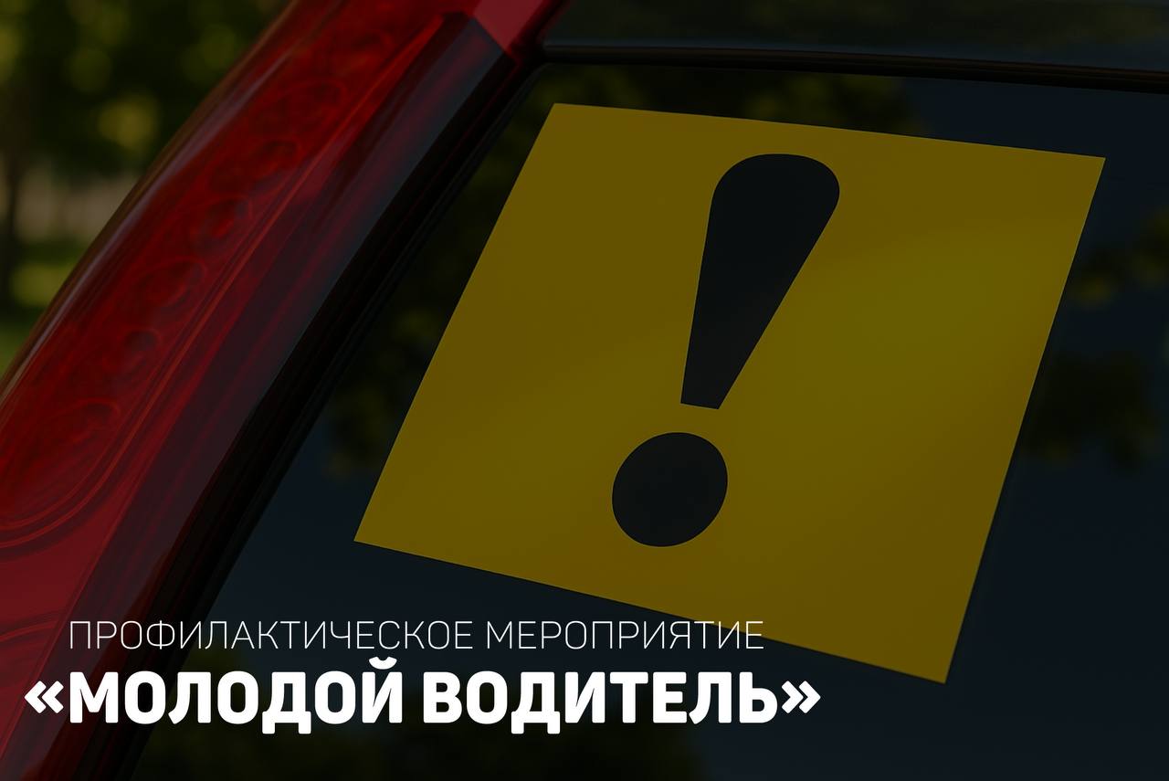 Профилактическое мероприятие &quot;Молодой водитель&quot;.