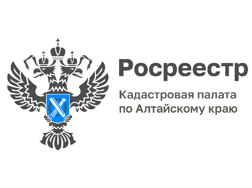 Эксперты Кадастровой палаты по Алтайскому краю ответили на вопросы о выписках из ЕГРН.