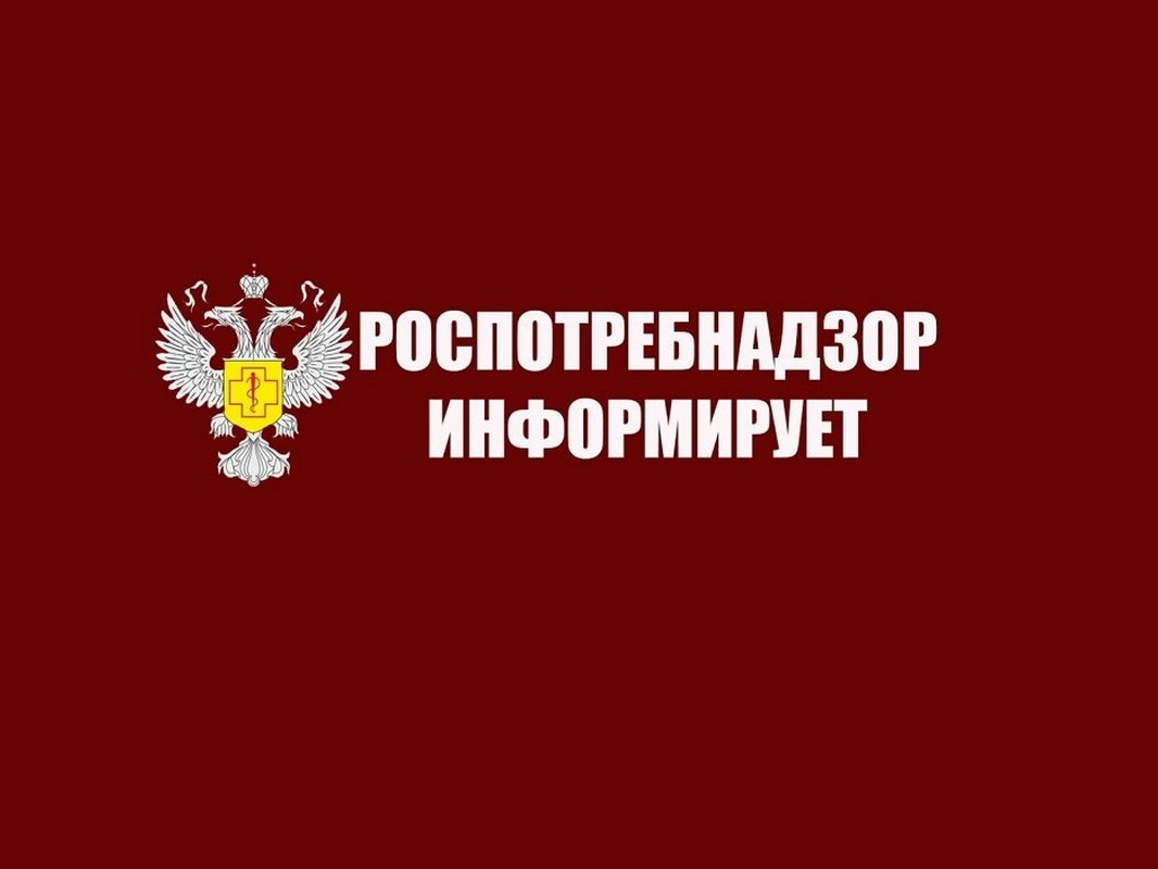С 26 мая по 06 июня 2025 года организована «горячая линия» по вопросам защиты прав потребителей туристических услуг.
